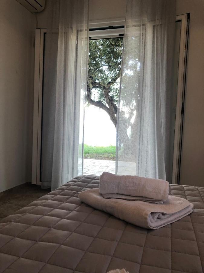 Αgrilitsa House Apartman Vaszilíci Kültér fotó