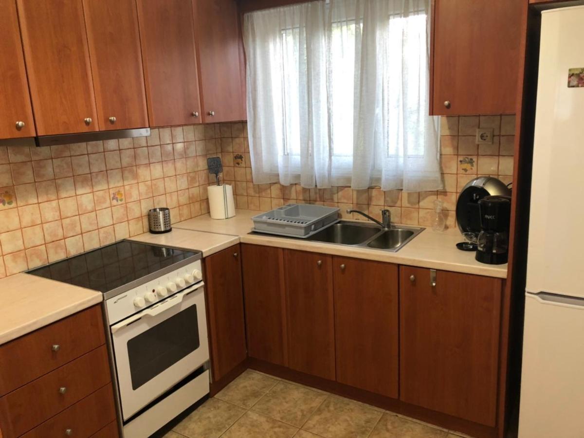 Αgrilitsa House Apartman Vaszilíci Kültér fotó